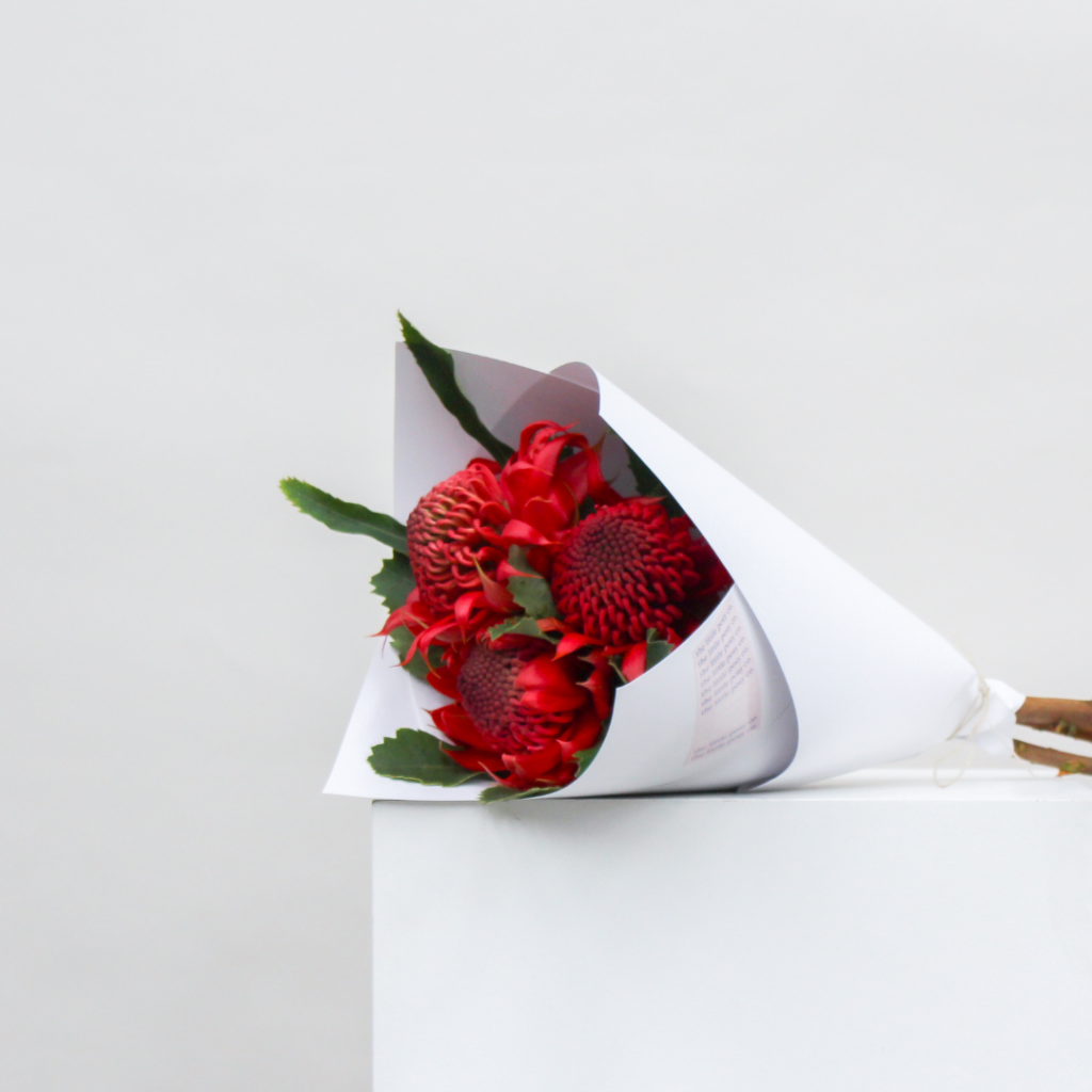Waratah Fresh Flower Delivery in Perth The Little Posy Co.
