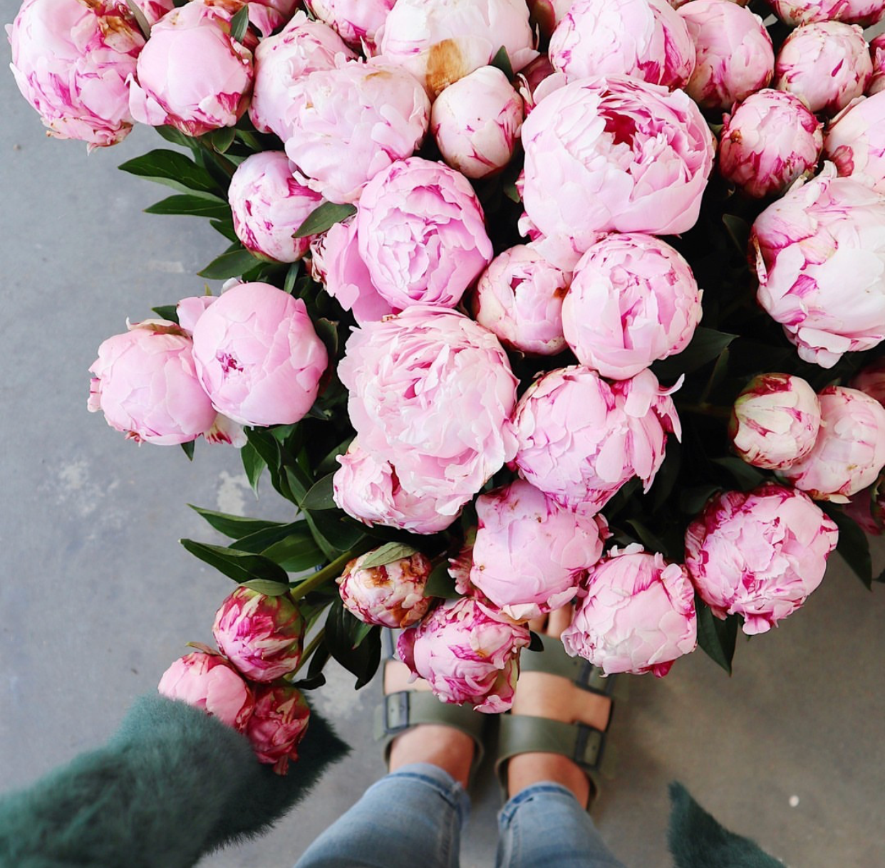 Peonies