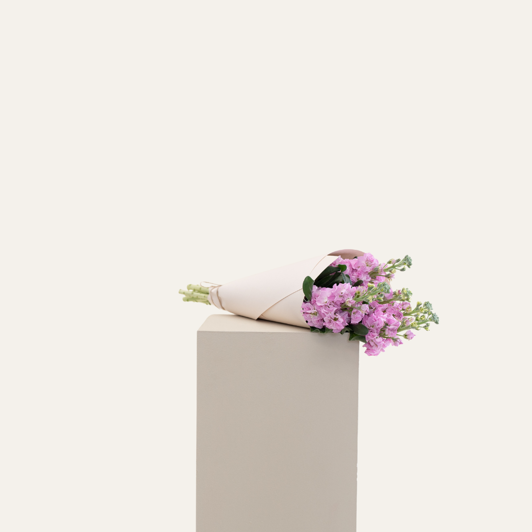 Stock Flower