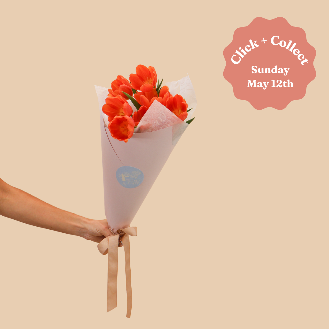 Click & Collect Mother's Day Tulips