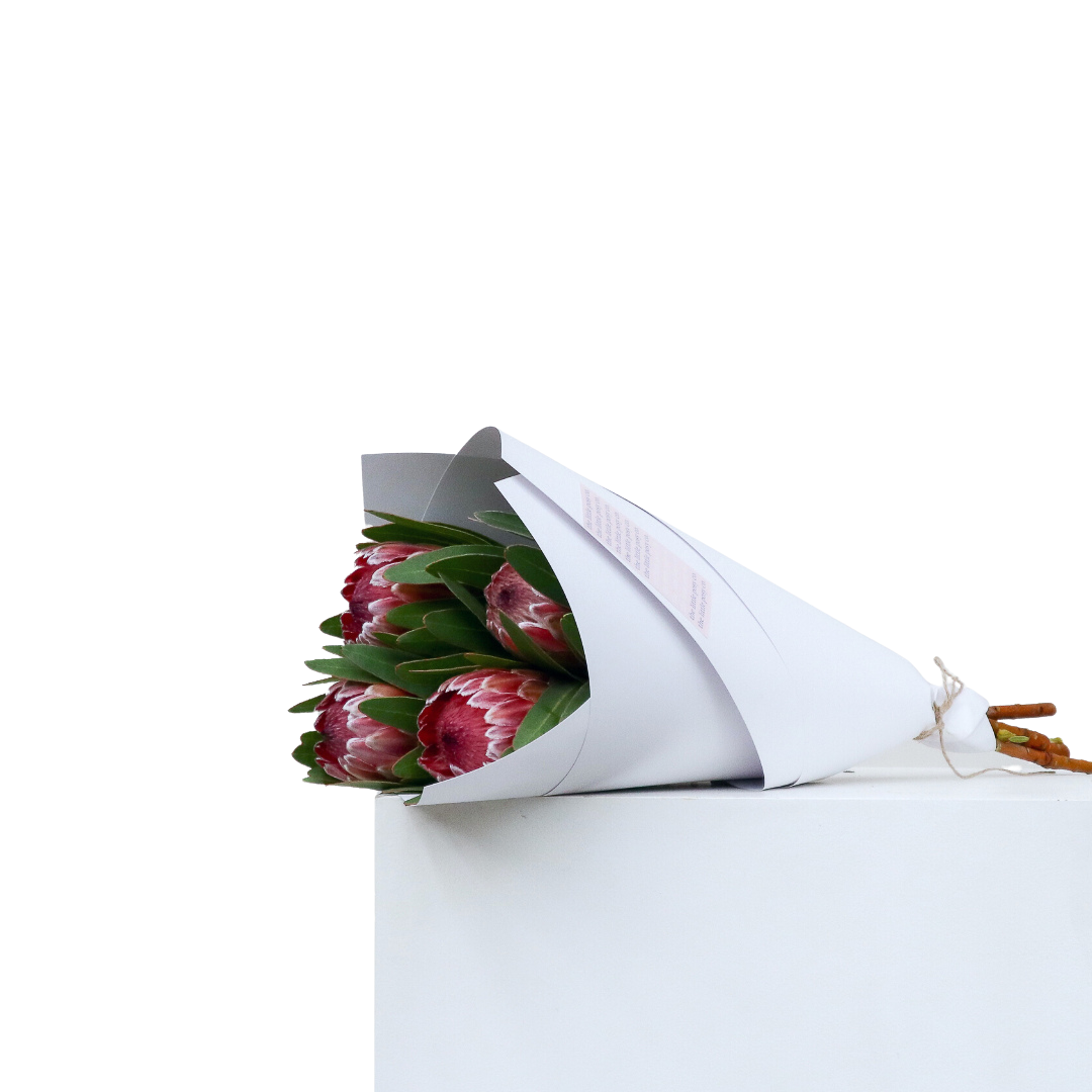 Proteas Flower Delivery Order Flowers Online Perth The Little Posy Co.