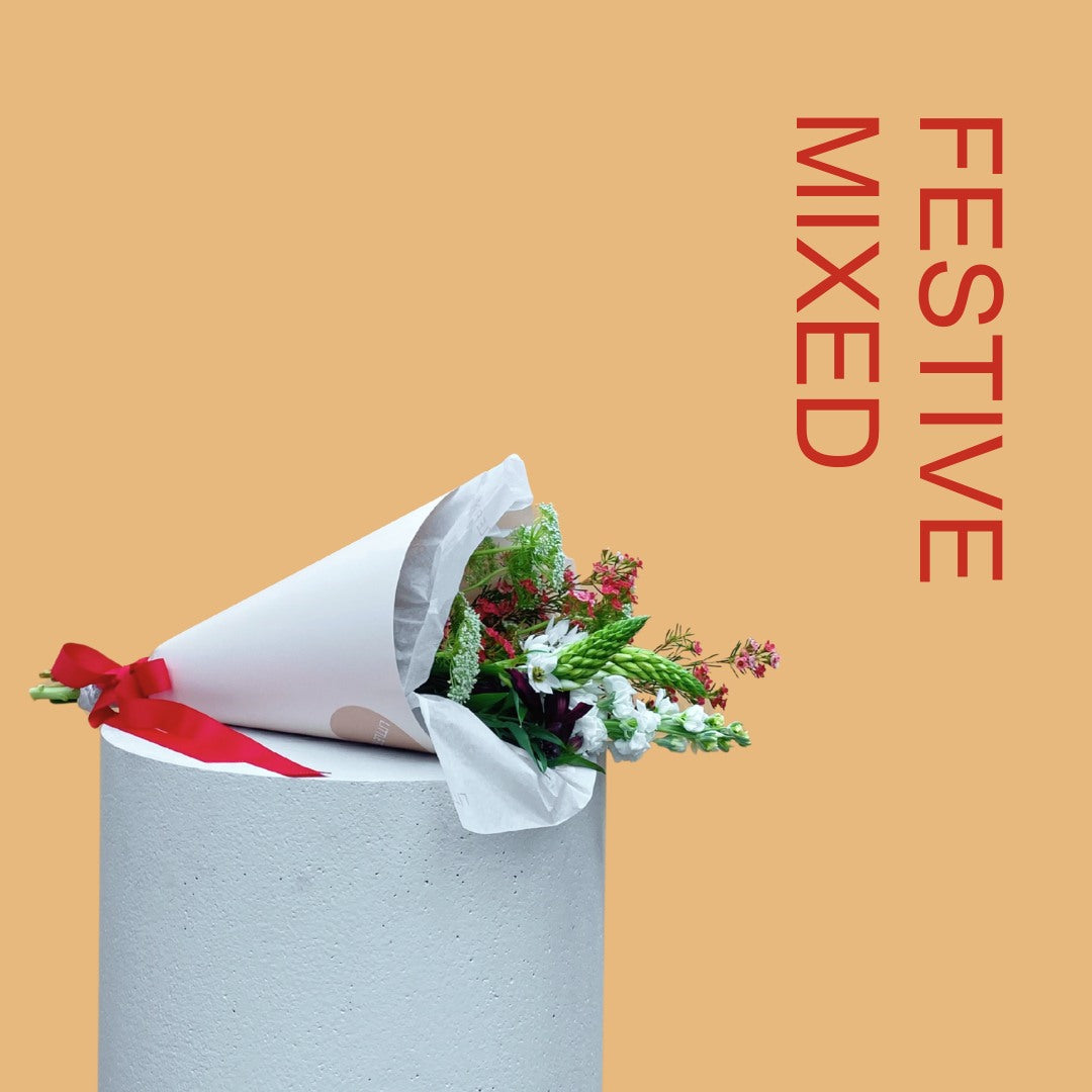 Festive Mixed Posy