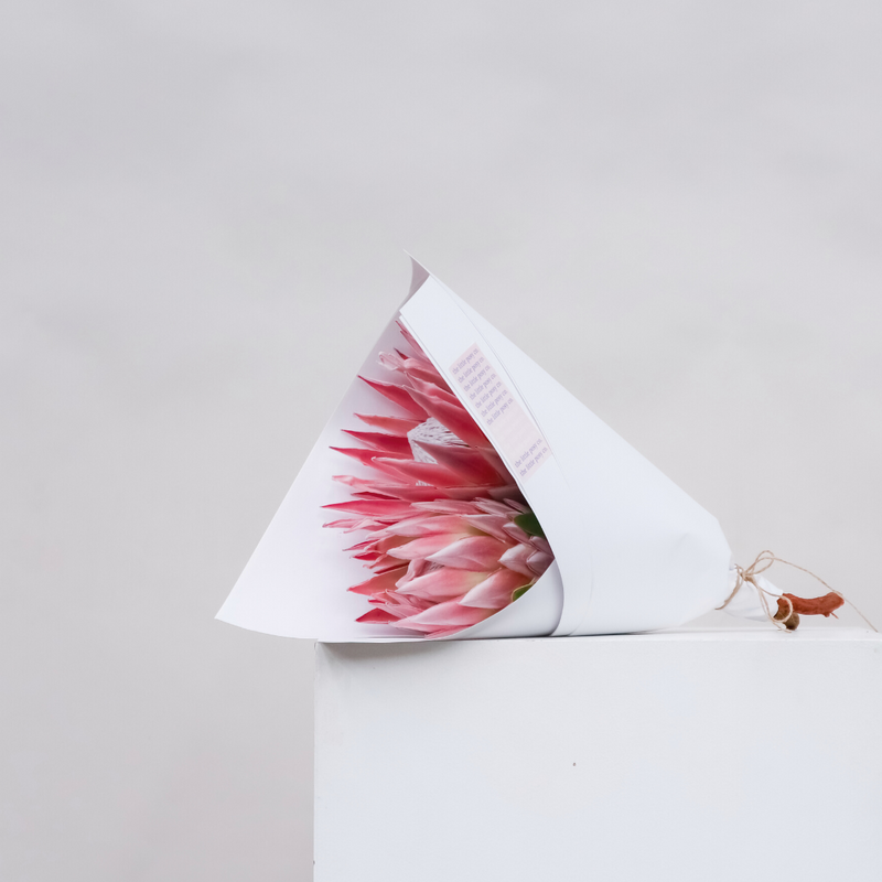 Flower Delivery Perth, Same Day Delivery Gifts & Flowers Little Posy