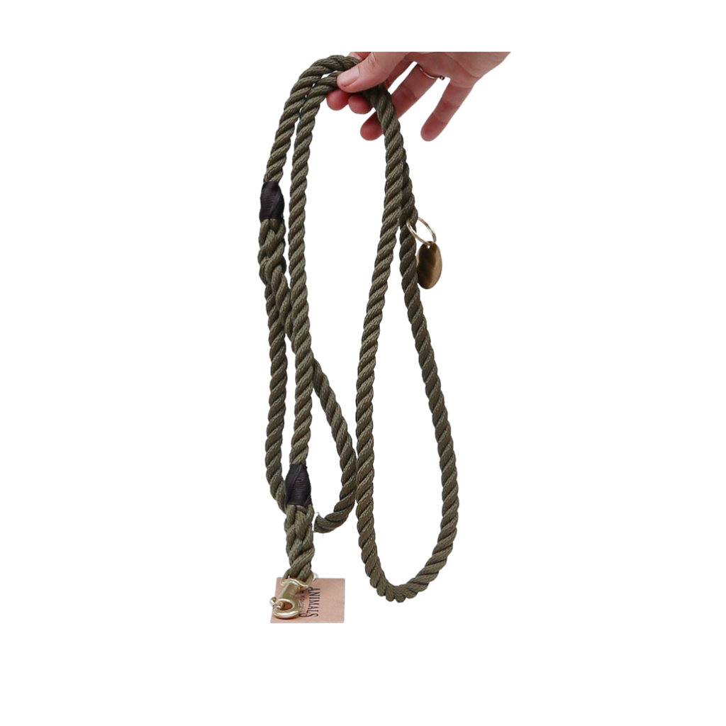 Noose leash deals