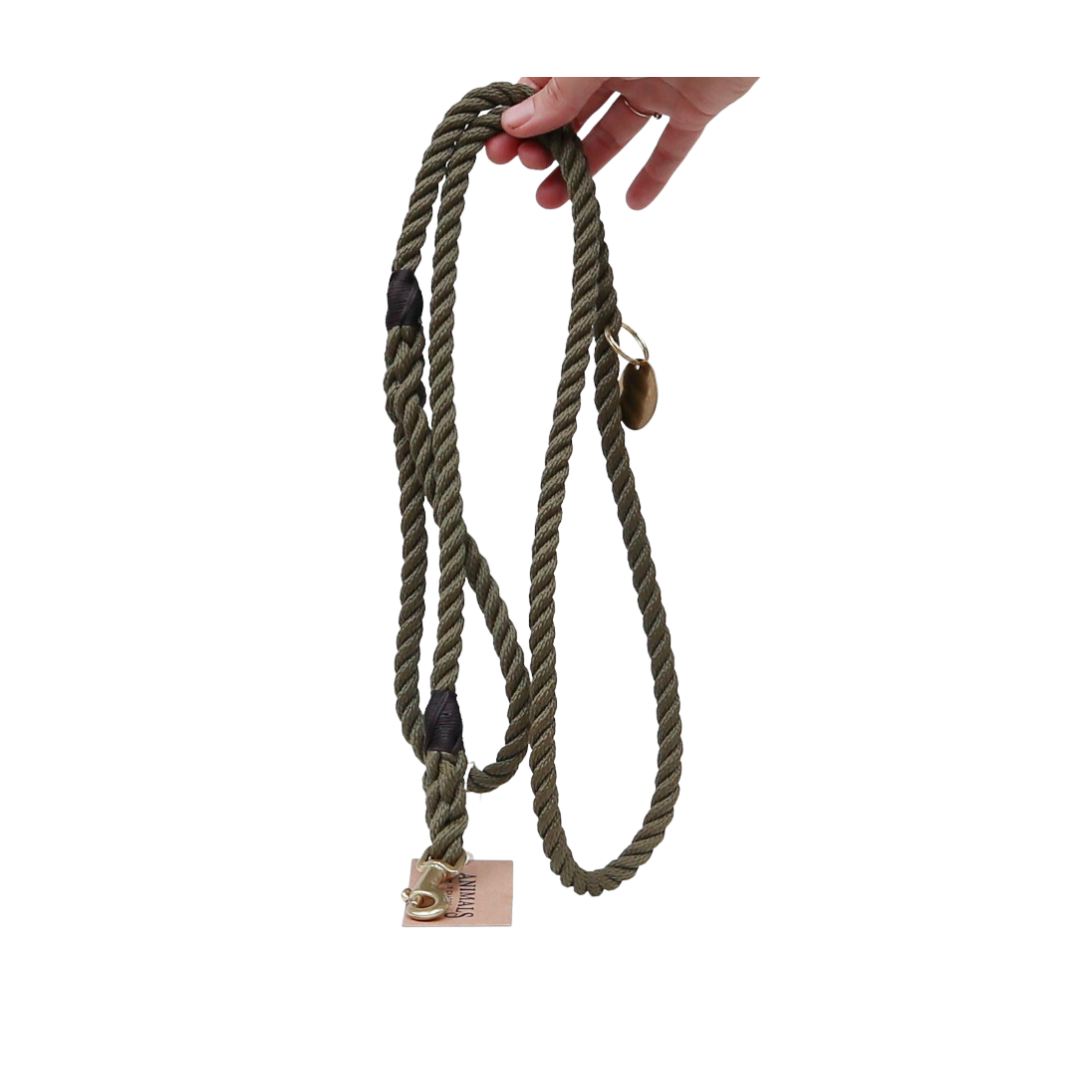 Dog Leash by Animals In Charge