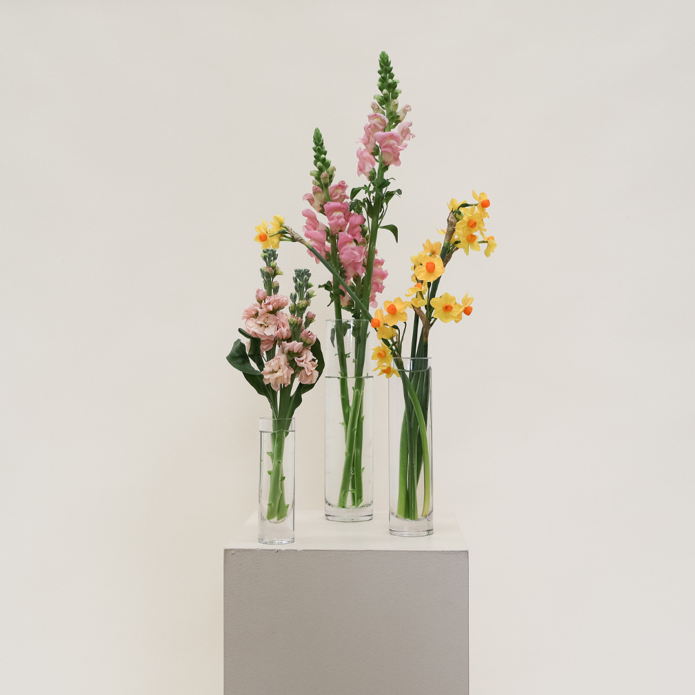 Bud Vases