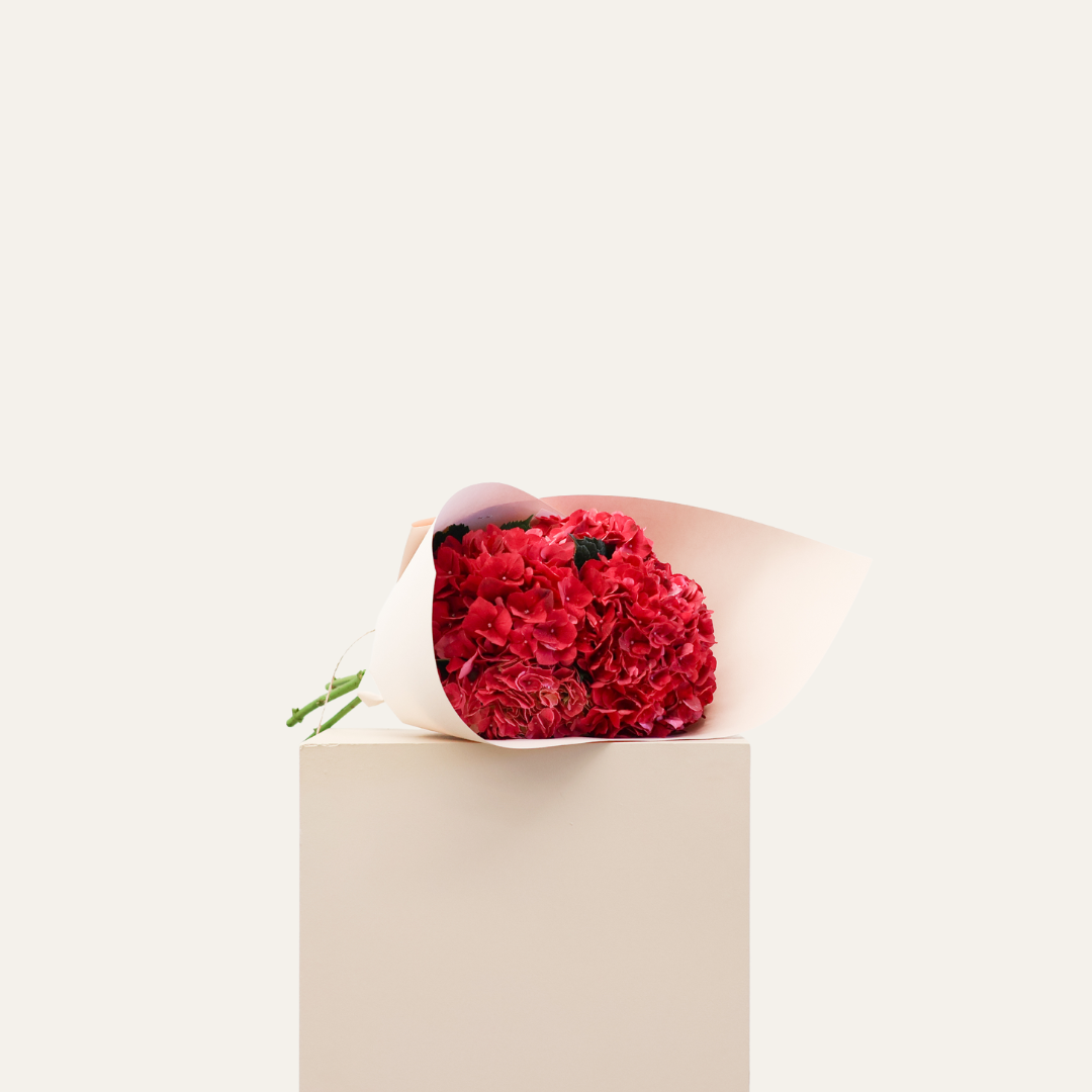 Hydrangeas