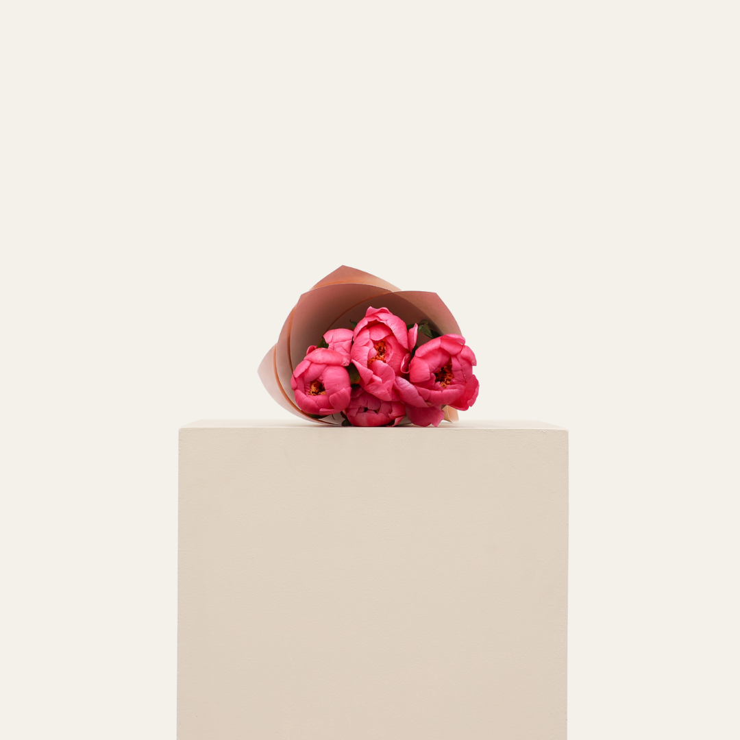 Peonies